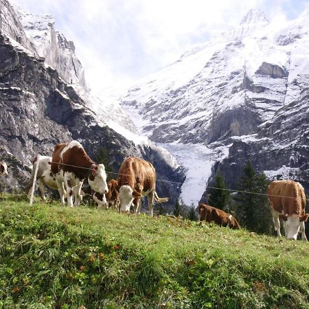 Firstsunne Apartamento Grindelwald Exterior foto