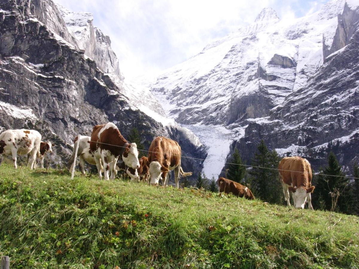 Firstsunne Apartamento Grindelwald Exterior foto